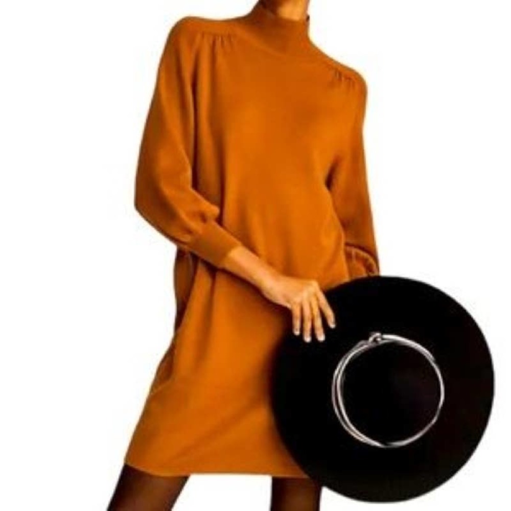 Maeve from Anthropologie Burnt Orange Long Sleeve Dress